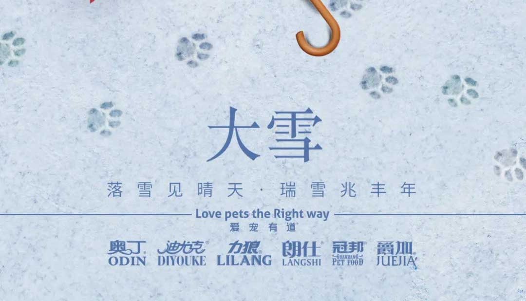 大雪丨雪落知寒意 久伴見初心！